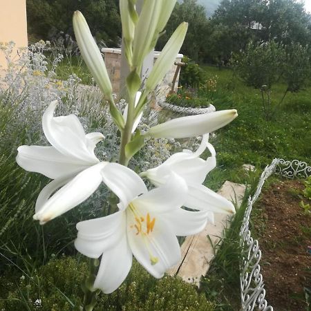 Castello Flower Apartment Kaštela Esterno foto
